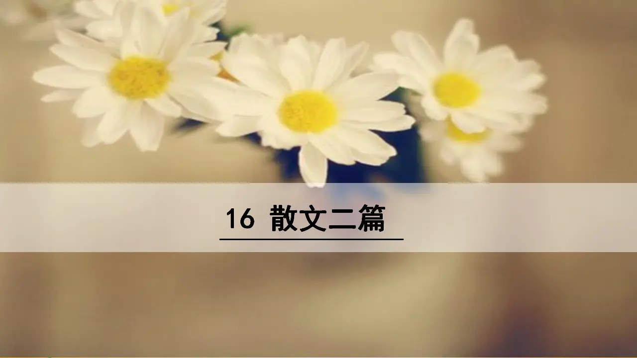 16  散文二篇（课件3）_02.webp