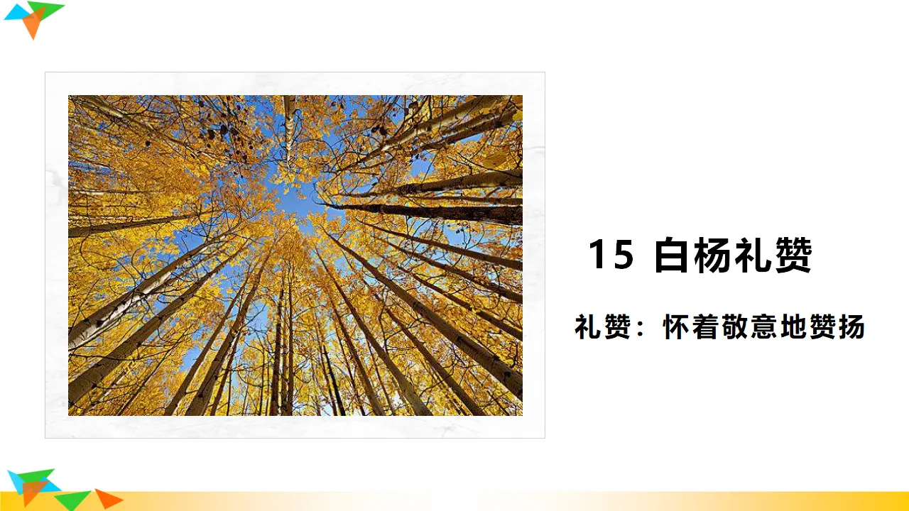 15  白杨礼赞（课件3）_01.webp