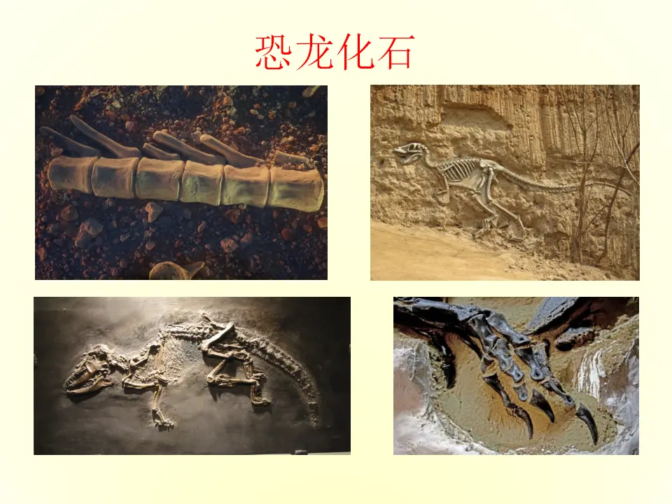 8时间的脚印（课件2）_04.webp