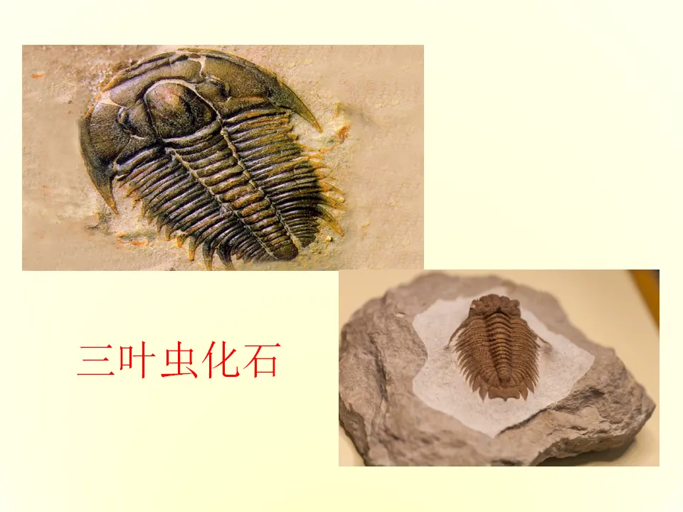 8时间的脚印（课件2）_05.webp
