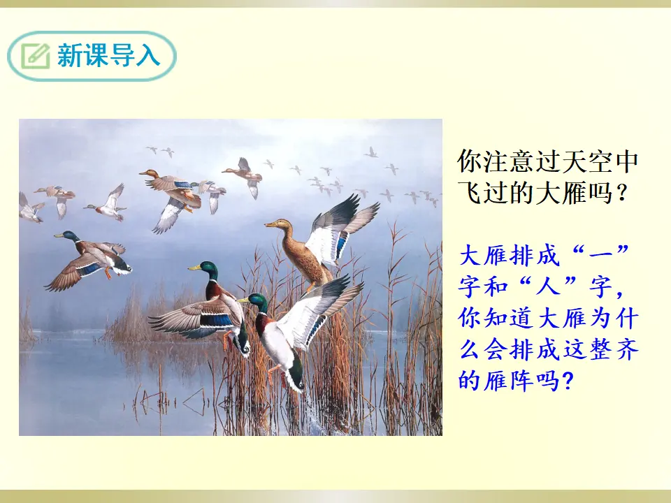 7 大雁归来（课件2）_03.webp