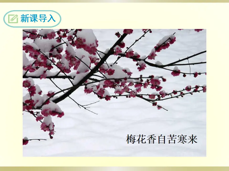 4.卜算子·咏梅（课件2）_03.webp