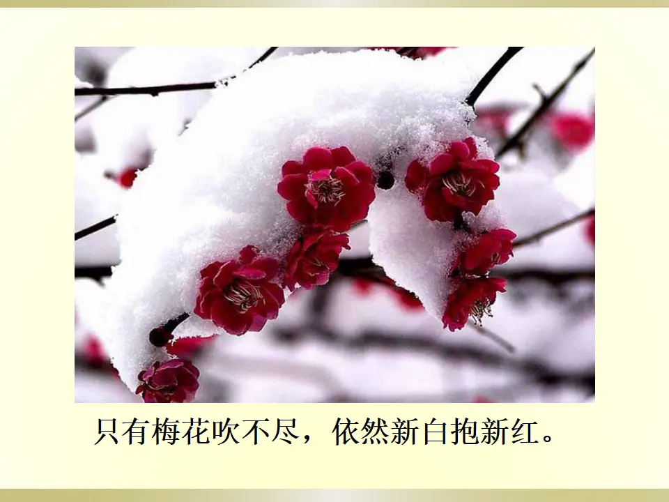4.卜算子·咏梅（课件2）_04.webp