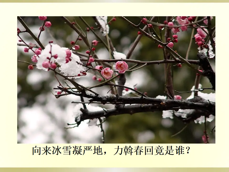 4.卜算子·咏梅（课件2）_05.webp
