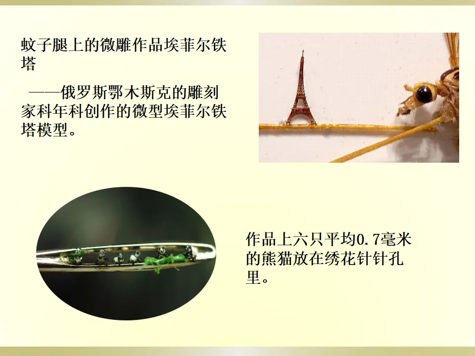 11核舟记（课件2）_05.webp
