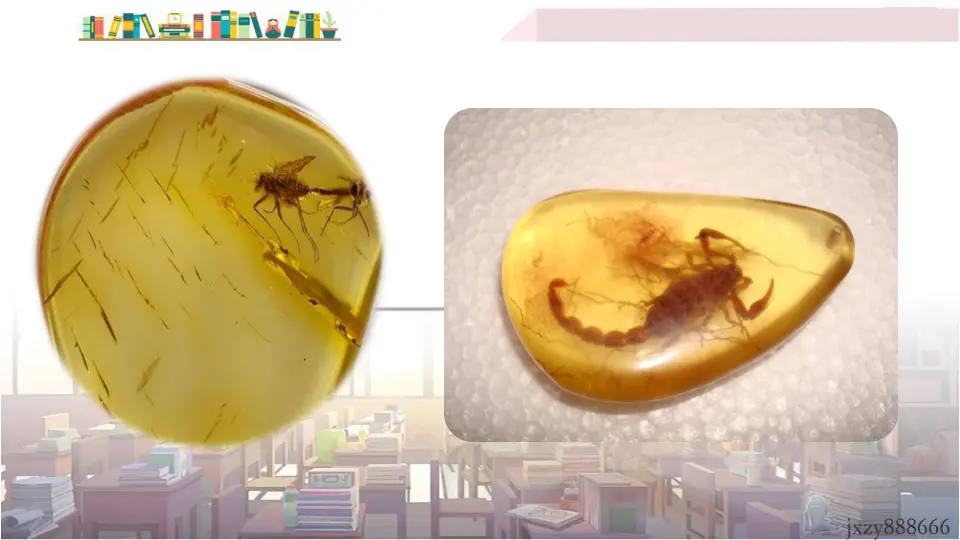 8 时间的脚印（课件3）_04.webp