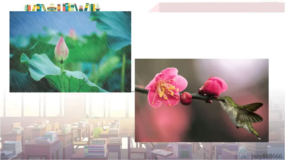 5 大自然的语言（课件3）_02.webp