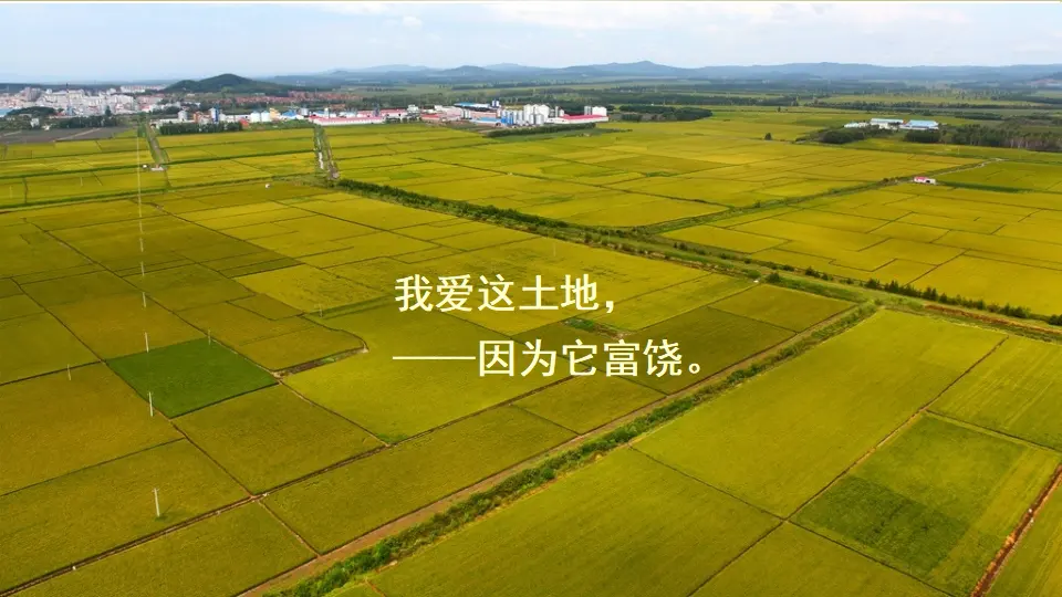 2 我爱这土地（课件2）_02.webp