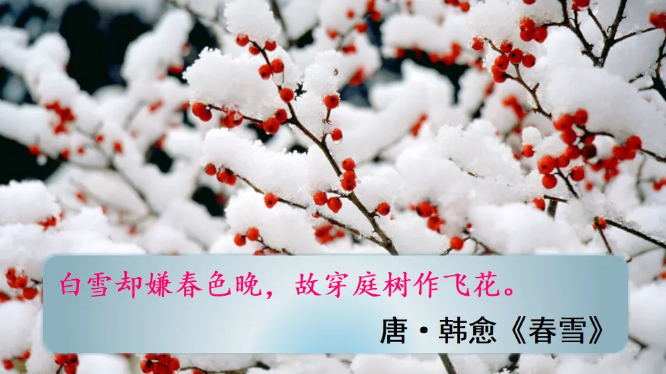 1 沁园春·雪（课件2）_02.webp