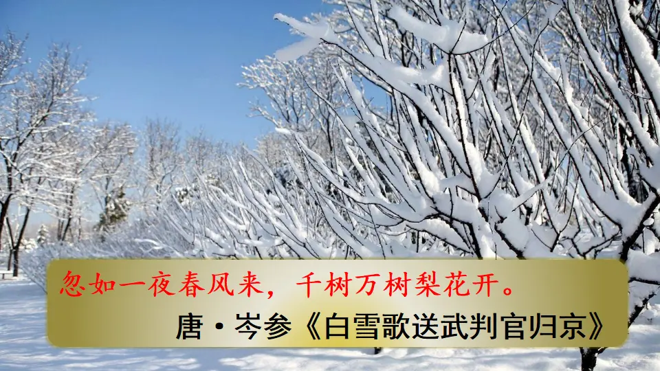 1 沁园春·雪（课件2）_03.webp