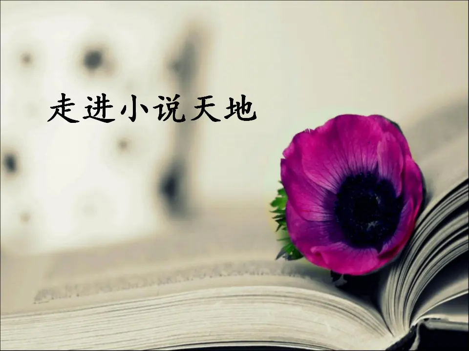 走进小说天地（课件3）_01.webp