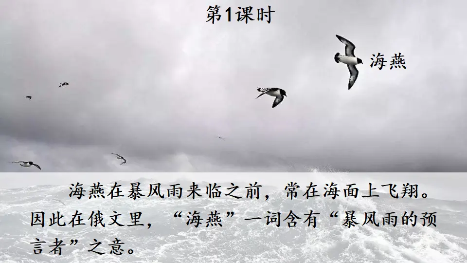 4 海燕（课件1）_02.webp