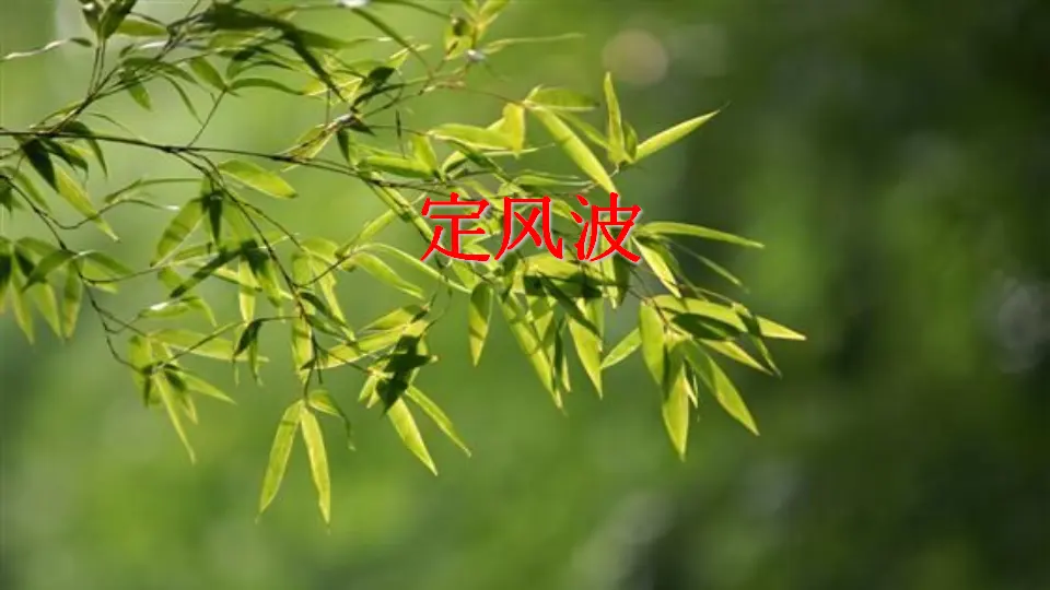 课外古诗词诵读（课件2）_04.webp