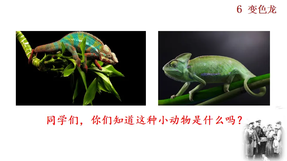 6  变色龙（课件2）_01.webp