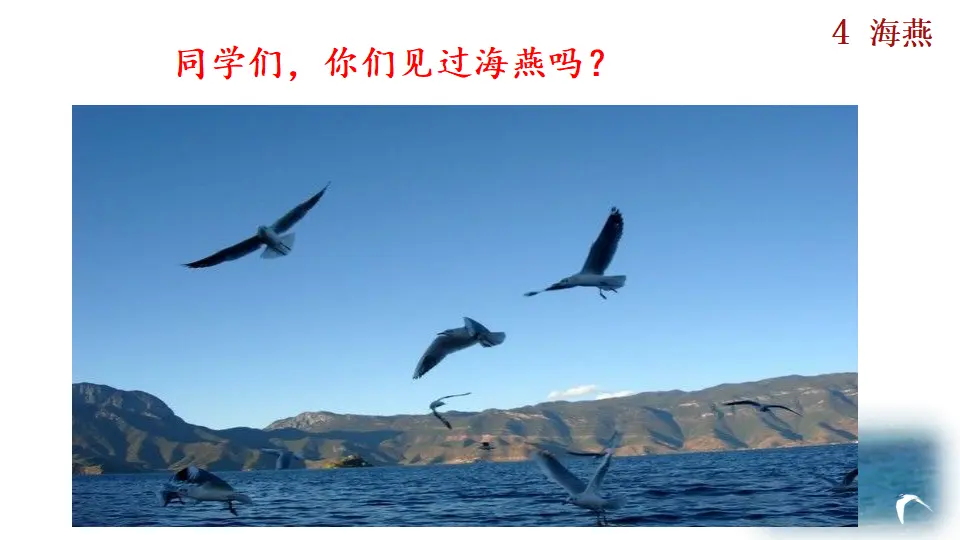 4 海燕（课件2）_01.webp