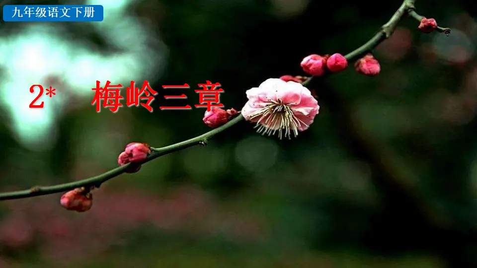 2 梅岭三章（课件2）_02.webp