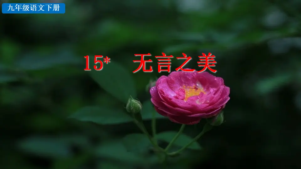 15 无言之美（课件2）_02.webp