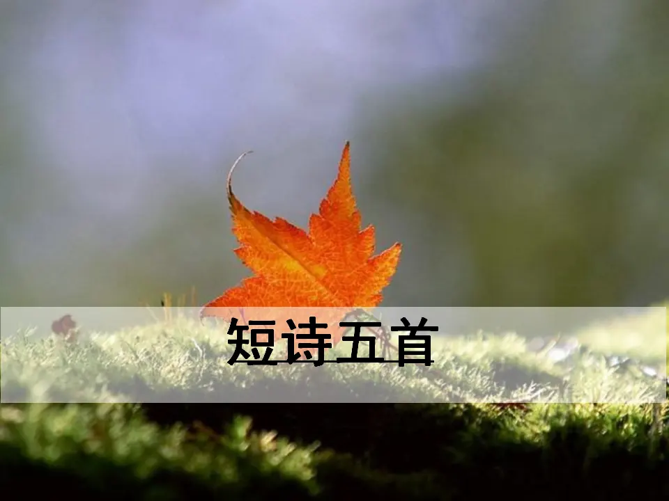第一课时（课件3）_01.webp