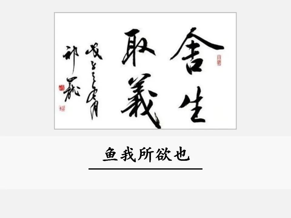 9  鱼我所欲也（课件3）_01.webp