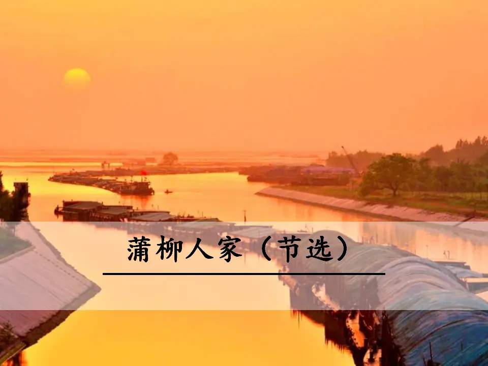 8  蒲柳人家（节选）（课件3）_01.webp