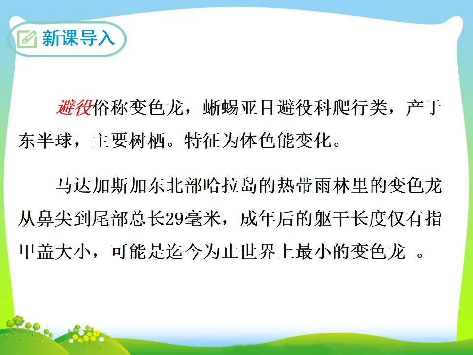 6 变  色  龙（课件3）_03.webp