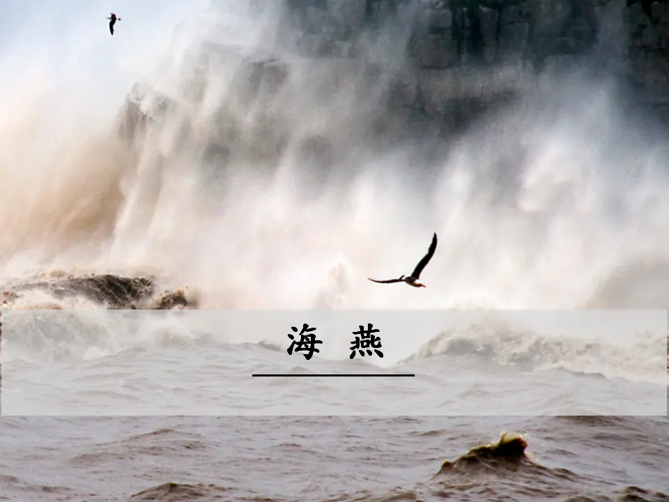 4 海 燕（课件3）_01.webp