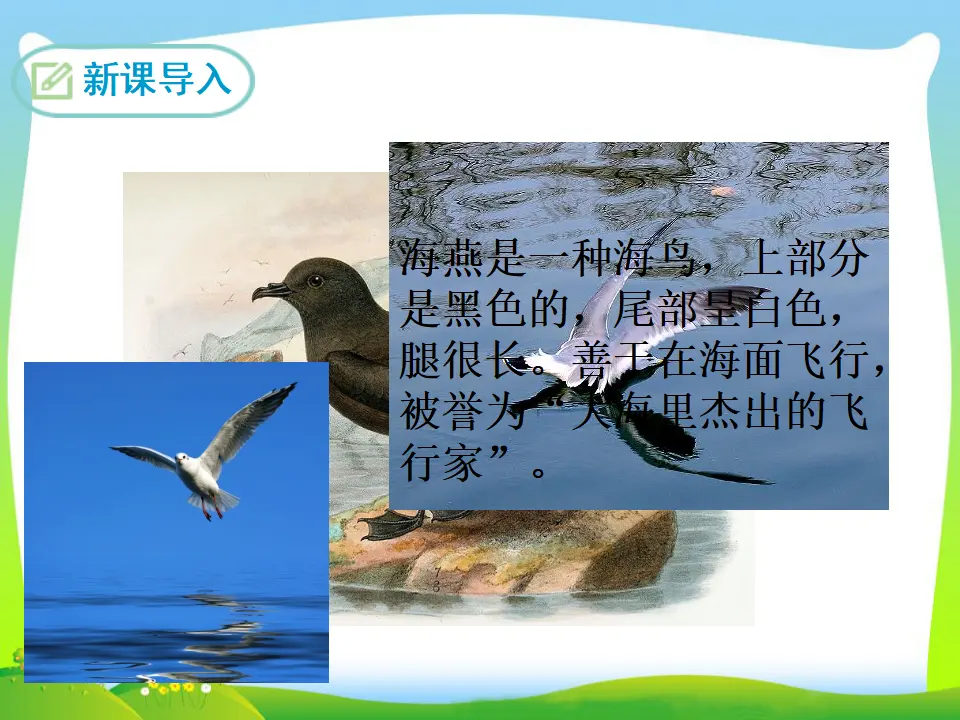 4 海 燕（课件3）_03.webp