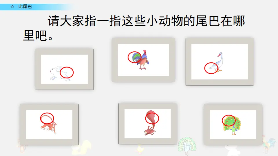 6 比尾巴（课件2）_04.webp