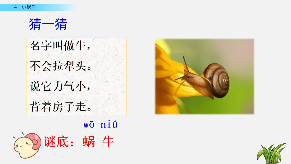 14 小蜗牛（课件2）_01.webp