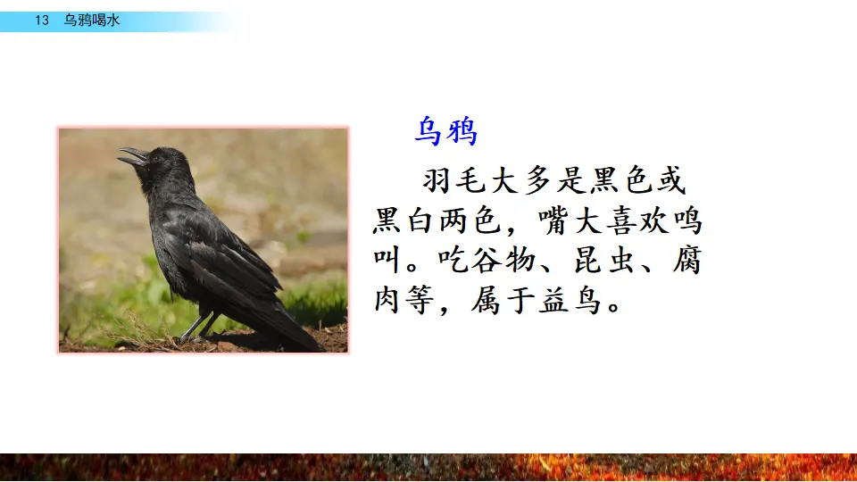 13 乌鸦喝水（课件2）_01.webp