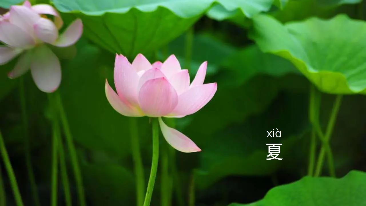 课文4  四季（课件3）_03.webp