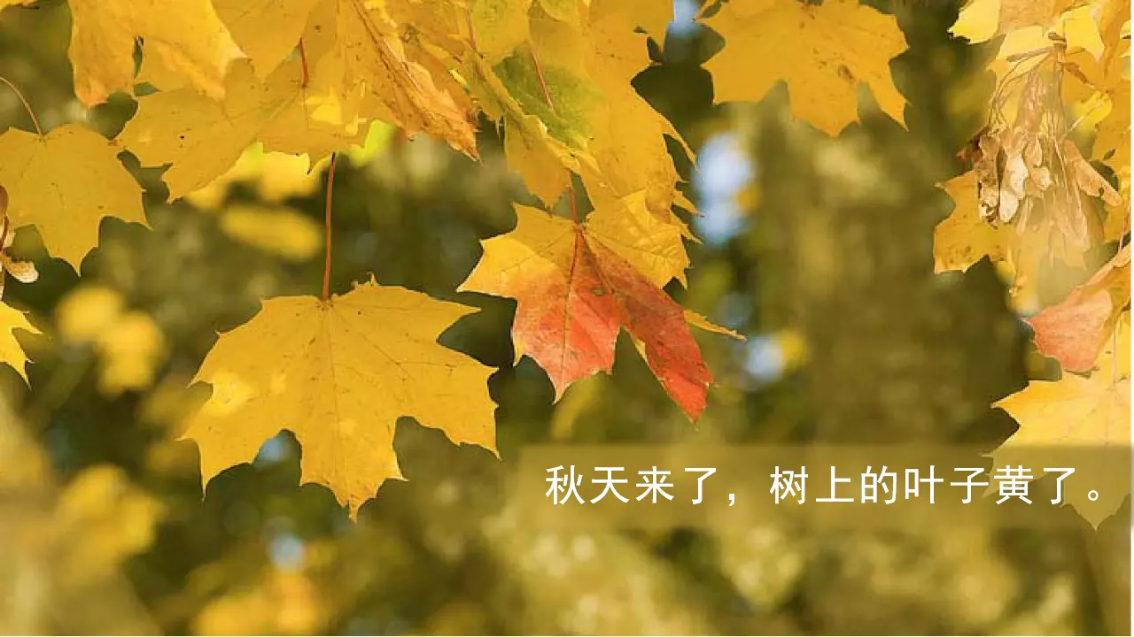 课文1  秋天（课件3）_04.webp
