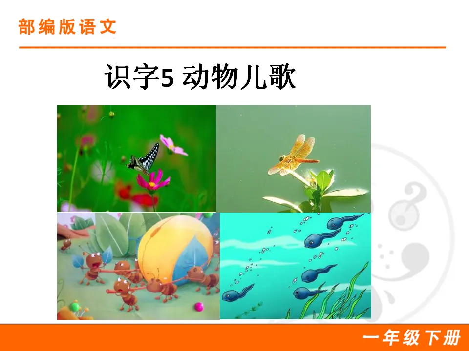 识字5 动物儿歌（课件1）_01.webp