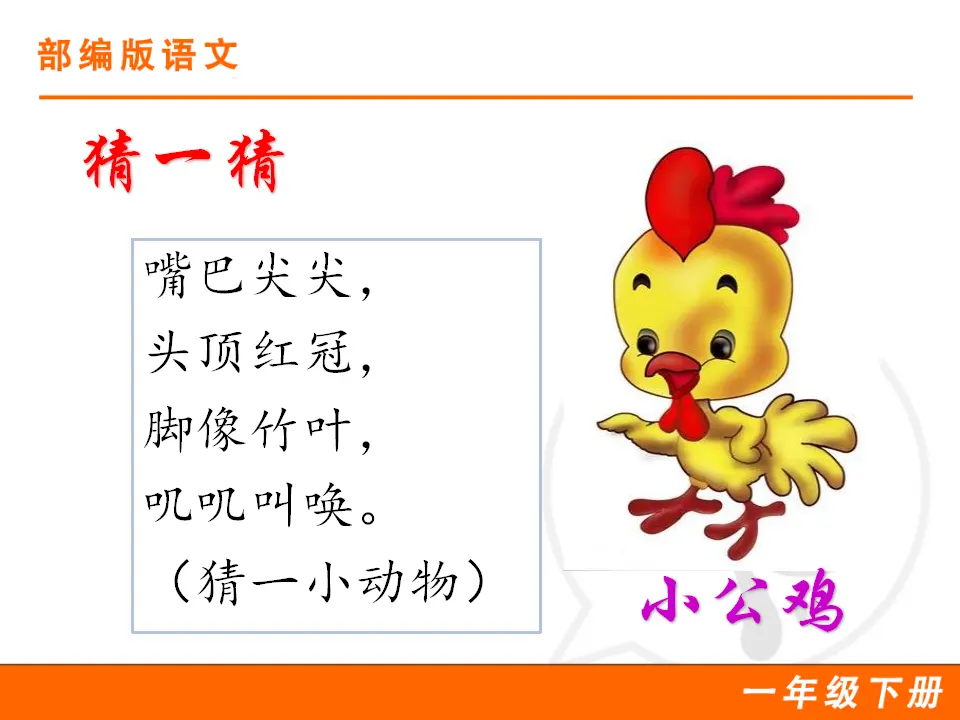 5 小公鸡和小鸭子（课件1）_02.webp