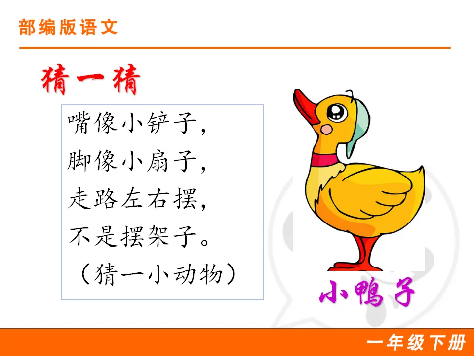 5 小公鸡和小鸭子（课件1）_03.webp