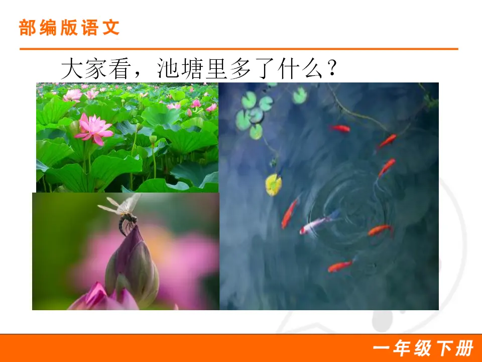 13 荷叶圆圆（课件1）_02.webp