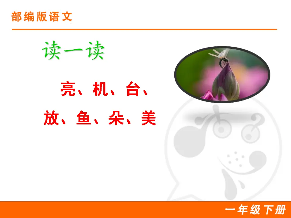 13 荷叶圆圆（课件1）_05.webp