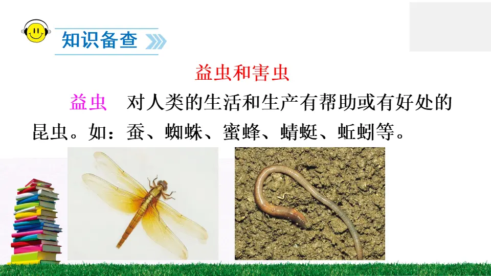识字5 动物儿歌（课件2）_03.webp