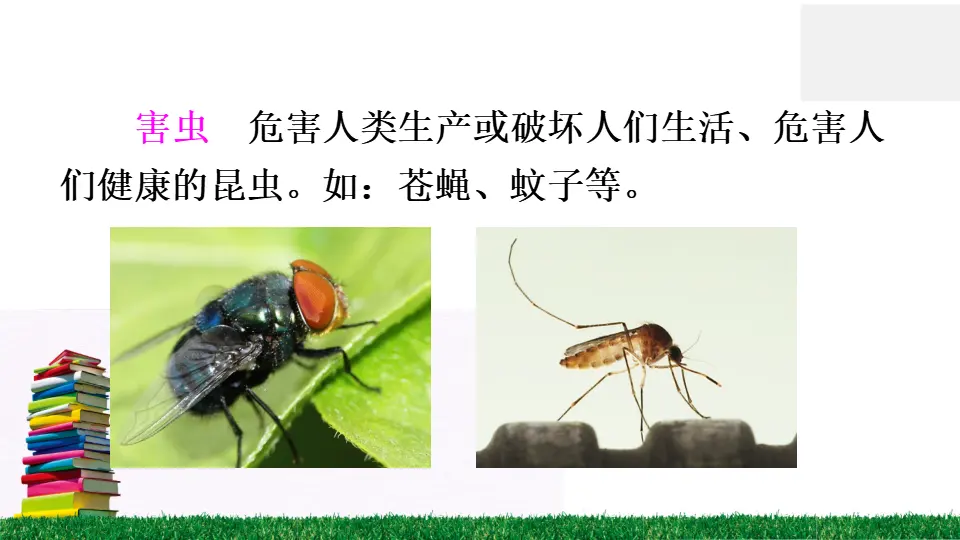 识字5 动物儿歌（课件2）_04.webp