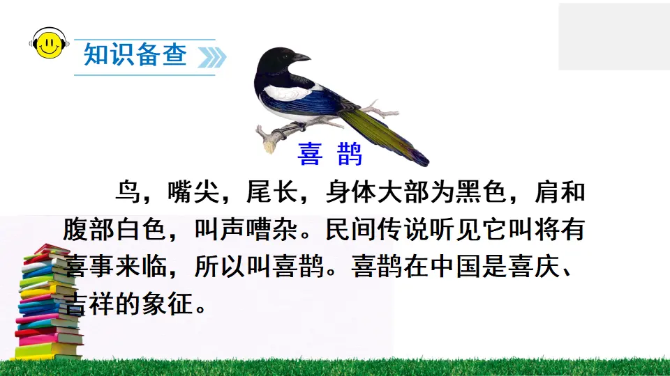 6 树和喜鹊（课件2）_05.webp