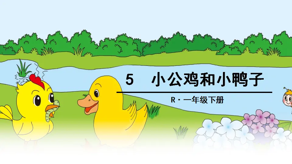 5 小公鸡和小鸭子（课件2）_01.webp
