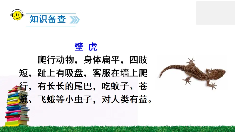 21 小壁虎借尾巴（课件2）_03.webp