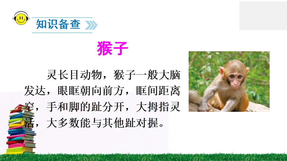 18 小猴子下山（课件2）_03.webp