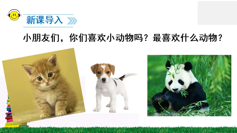 17 动物王国开大会（课件2）_02.webp