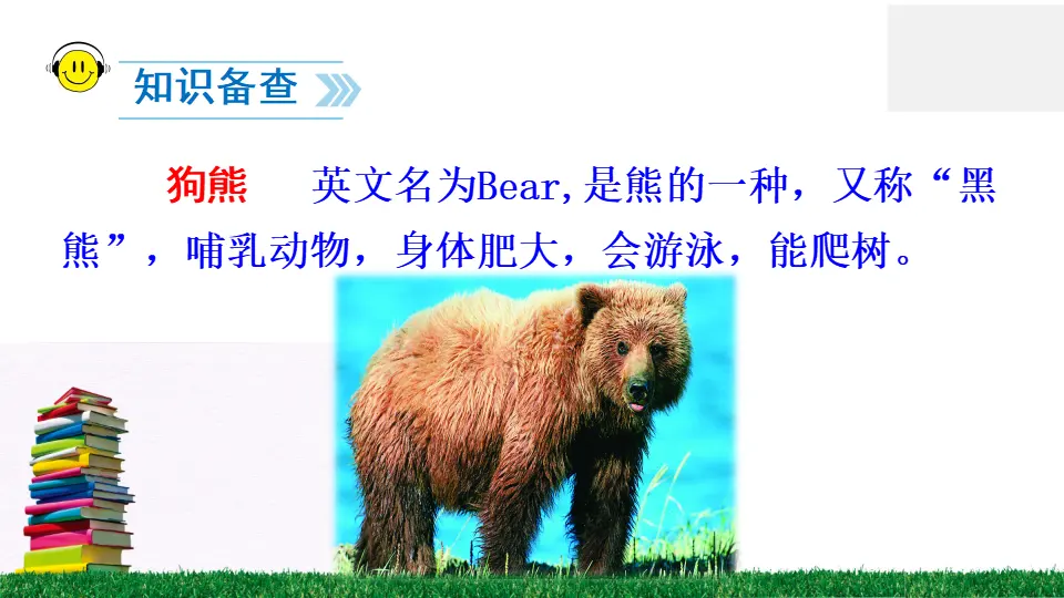 17 动物王国开大会（课件2）_05.webp