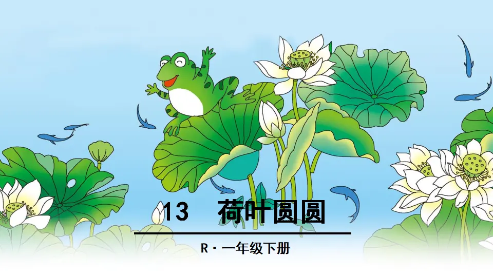 13 荷叶圆圆（课件2）_01.webp