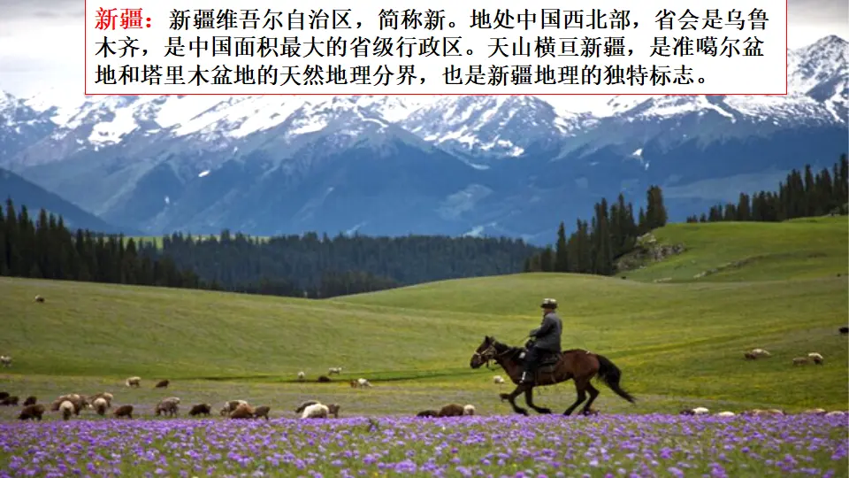 链接2：新疆（课件3）_01.webp