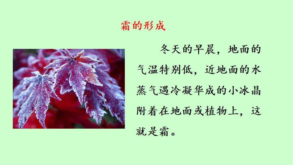 链接1：霜的形成（课件3）_01.webp