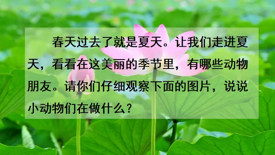 识字5 动物儿歌（课件3）_01.webp