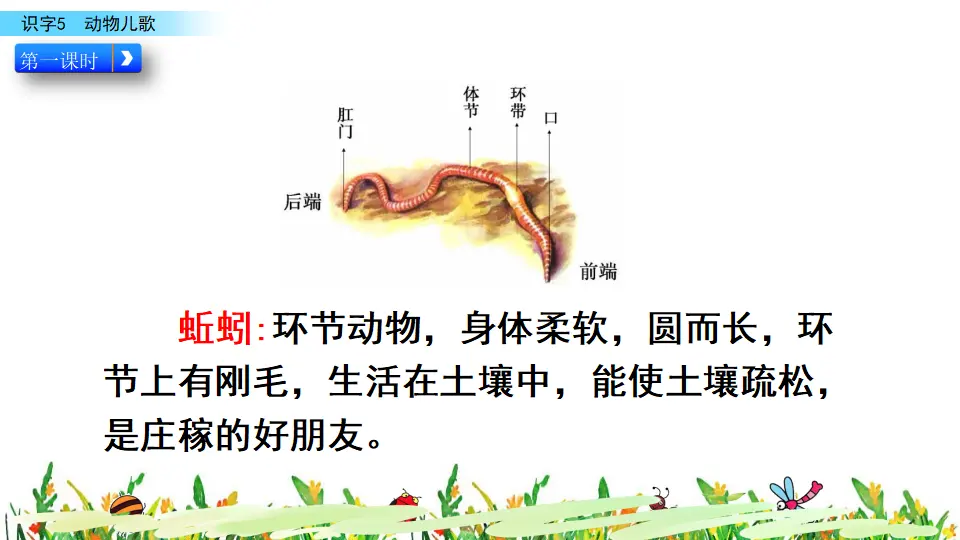 识字5 动物儿歌（课件3）_04.webp